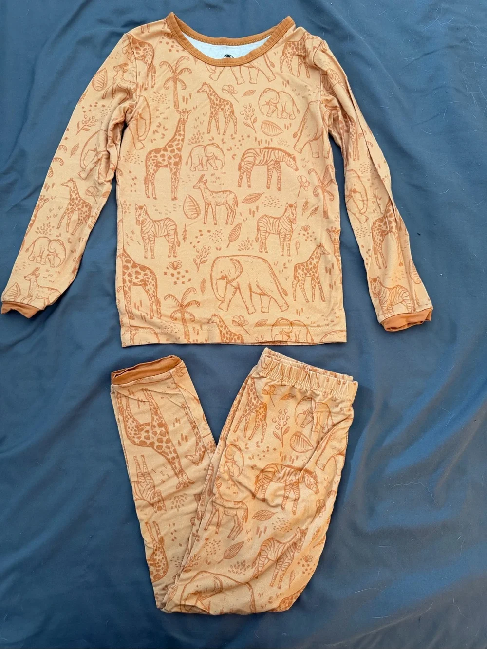 Lama Littles Savanna Long Sleeve Pants PJ Set 4T VGUC